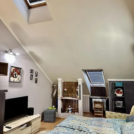 Schitterend In Het Centrum Van Apartment Amsterdam